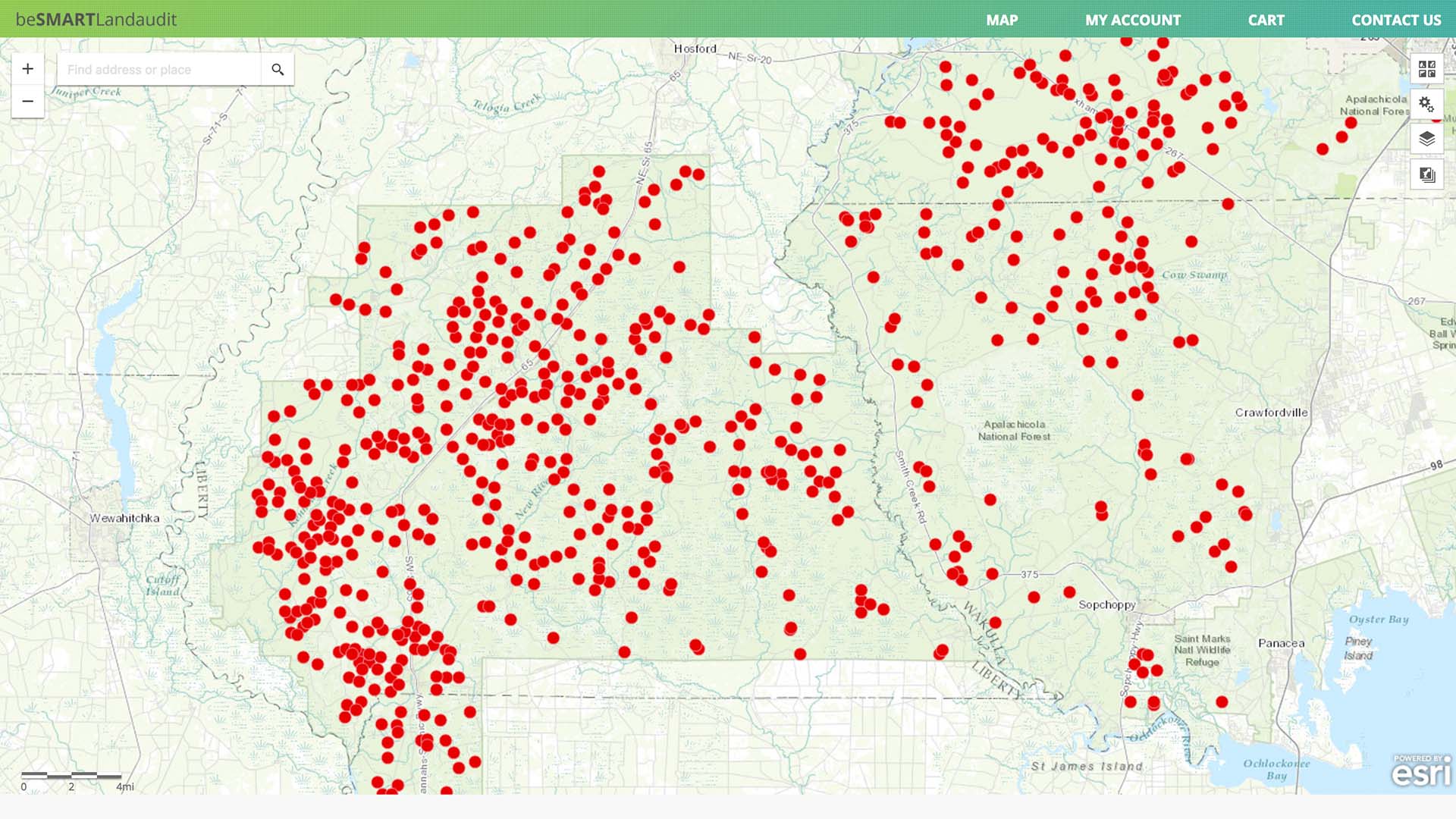 Red Cockaded Wood Peckers Be Smart Land Audit